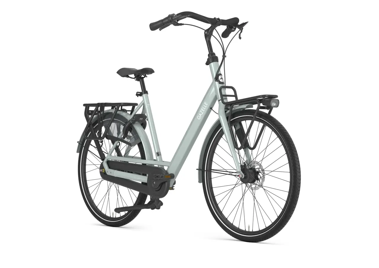 Gazelle Bloom - Light Olive glans - 2026 - Afbeelding 2