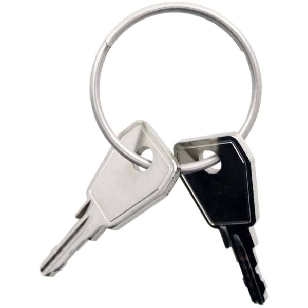 Yepp Thule sleutel Nexxt P0 2 stuks Zilver