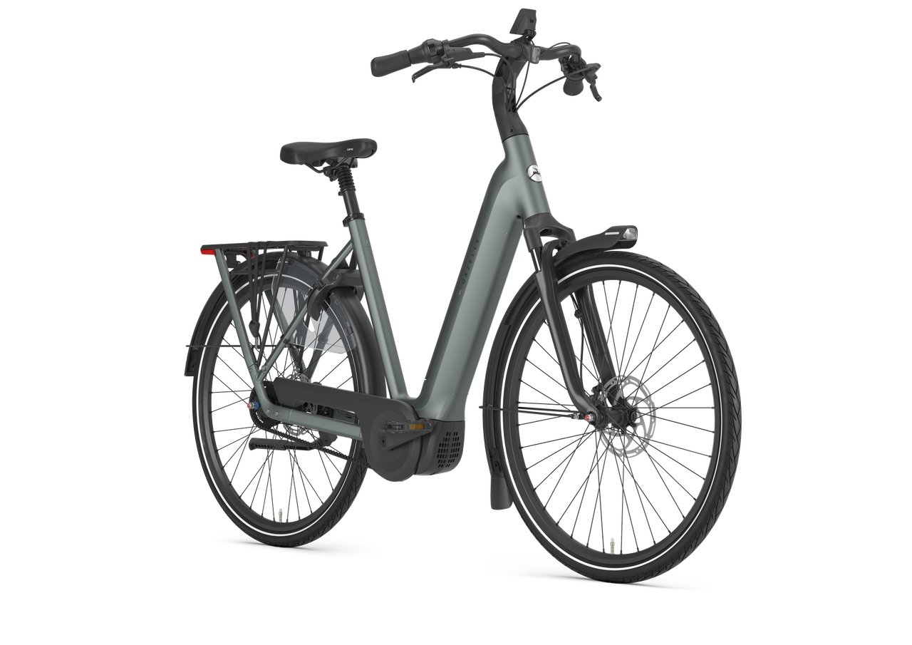 Gazelle Grenoble Limited Edition 2027 - Afbeelding 2