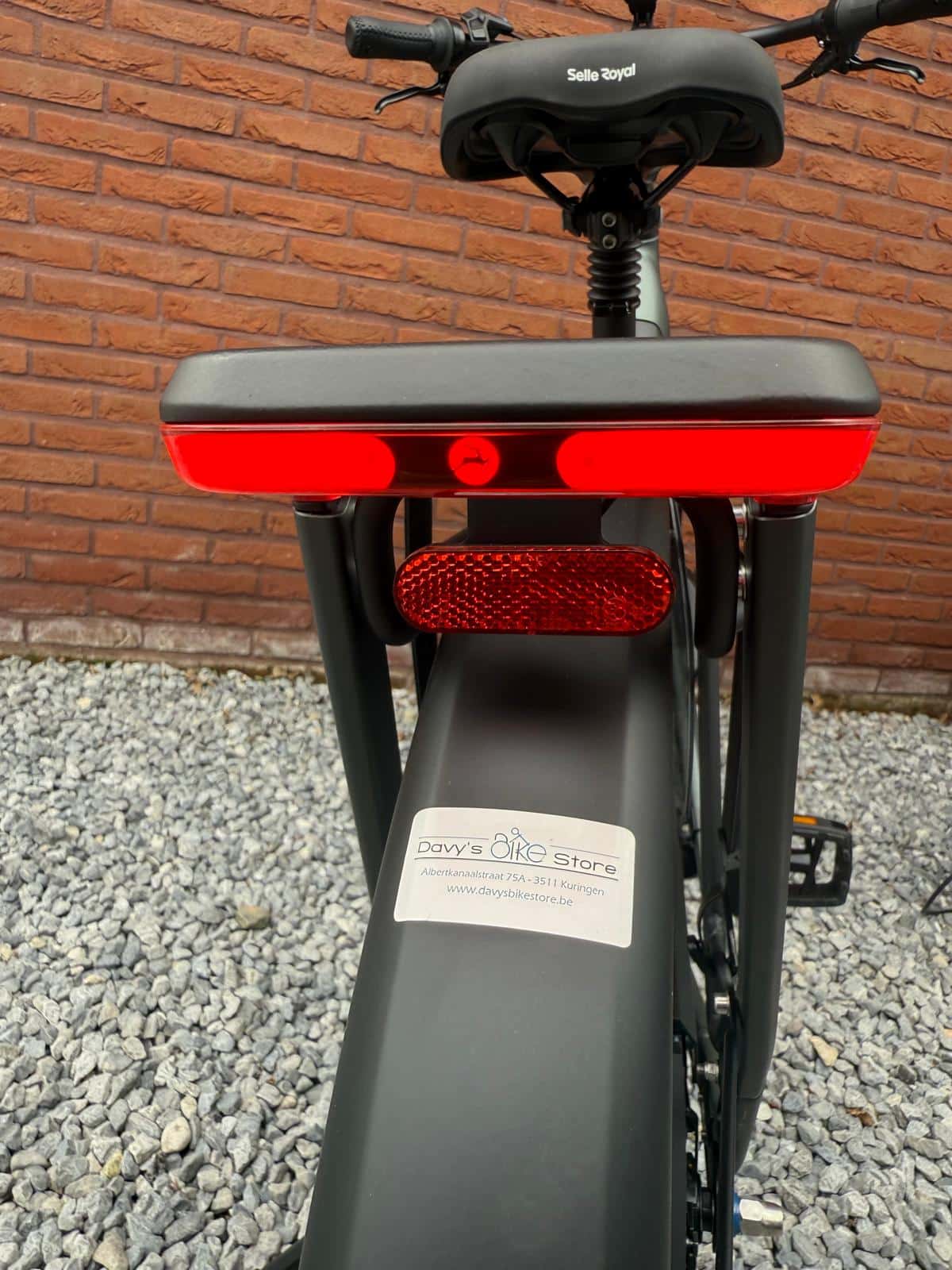 Gazelle Grenoble Limited Edition 2027 - Afbeelding 3