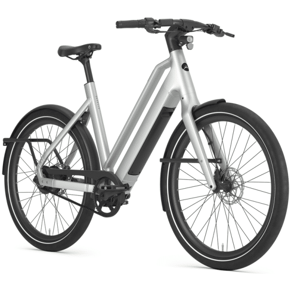 Gazelle Cayo C310 - Pebble Grey mat - 2026 - Afbeelding 2