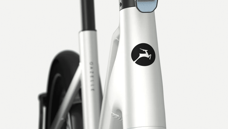 Gazelle Cayo C310 - Pebble Grey mat - 2026 - Afbeelding 3