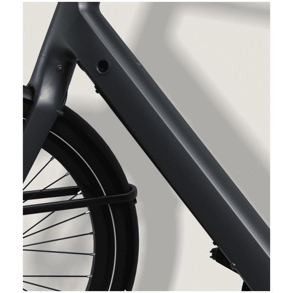 Gazelle Cayo C1 - Grapthite Blue mat - 2026 - Afbeelding 6